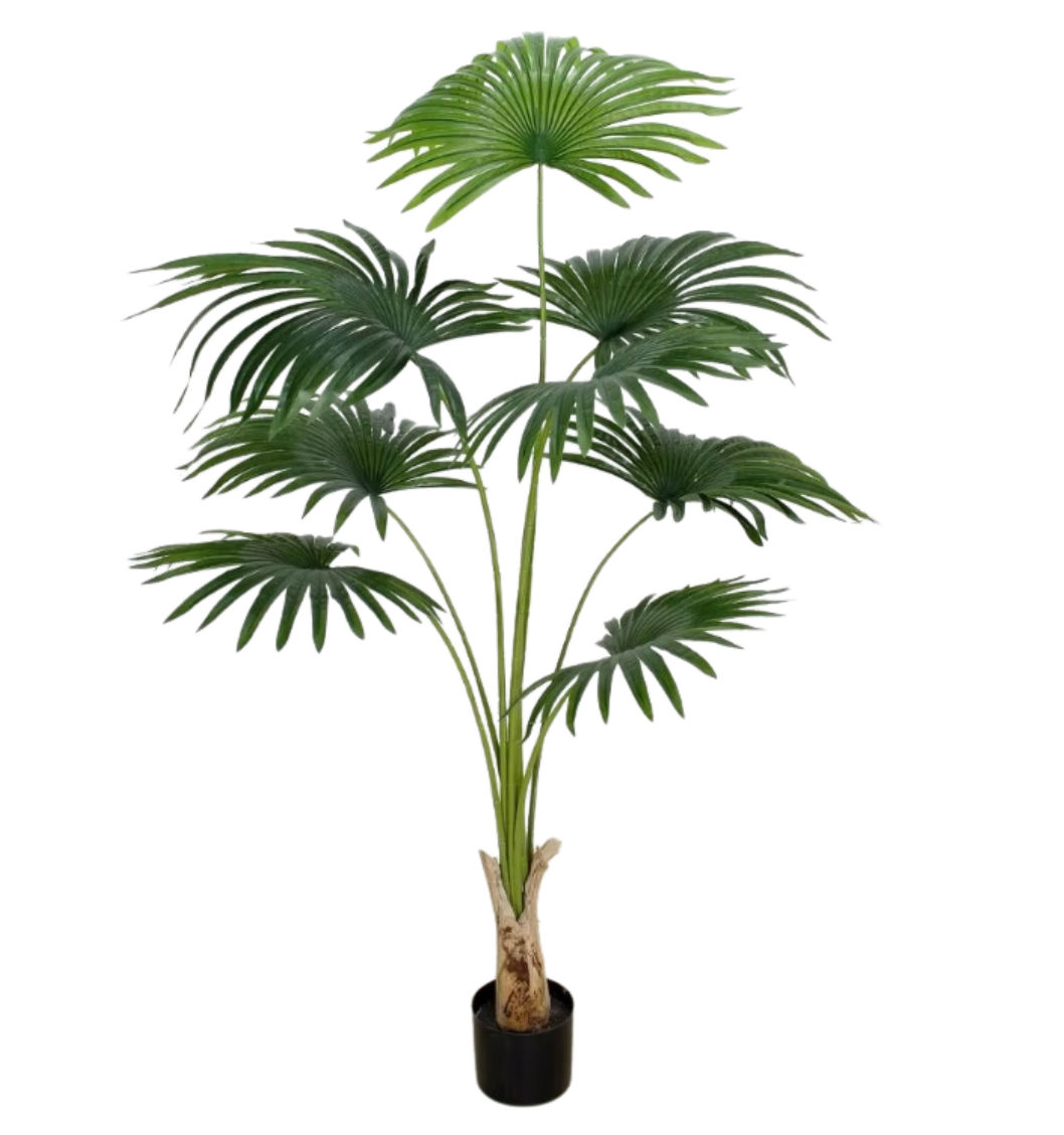 Plantes Plastiques